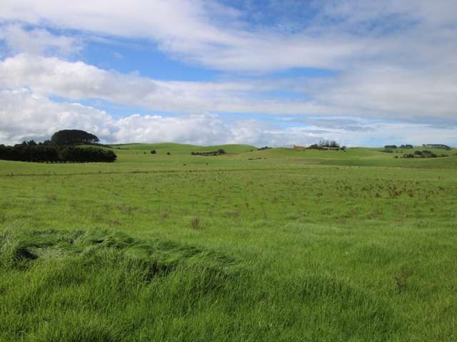 817 Baylys Coast Road Dargaville Surrounds_1