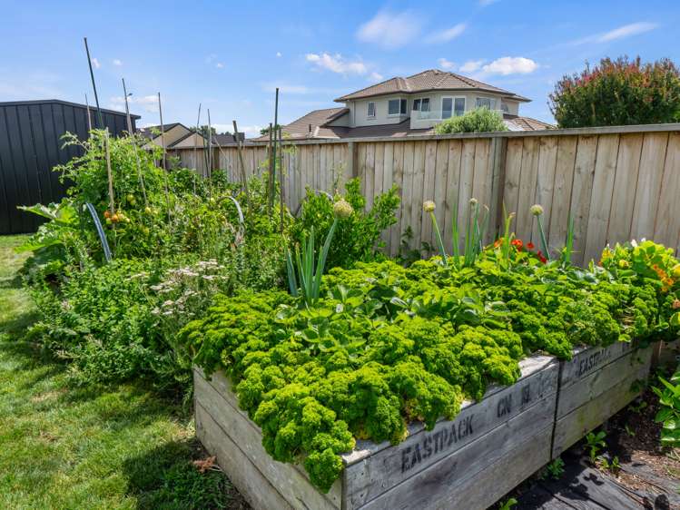 22 Kaimai Drive Matamata_22