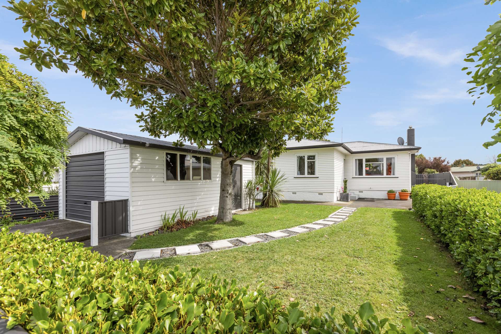 207 Guppy Road Taradale_0