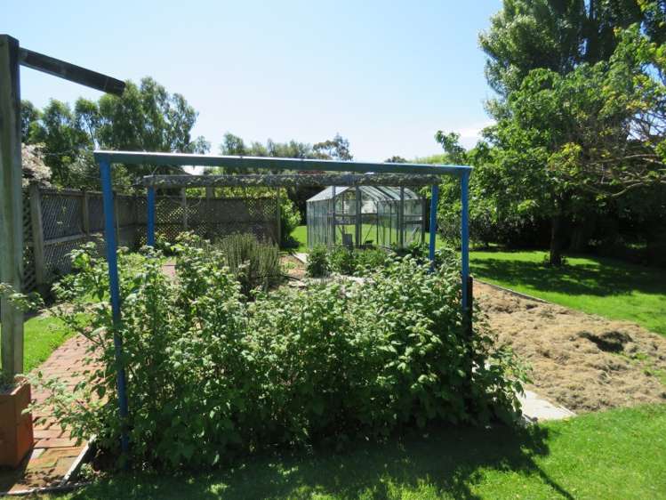 7 Terrace Road Leithfield_21