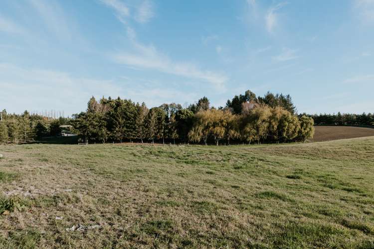 283 Parsons Road Weston_19