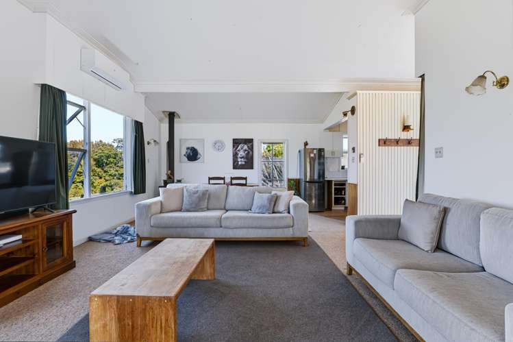 24 Tarahua Road Vogeltown_7