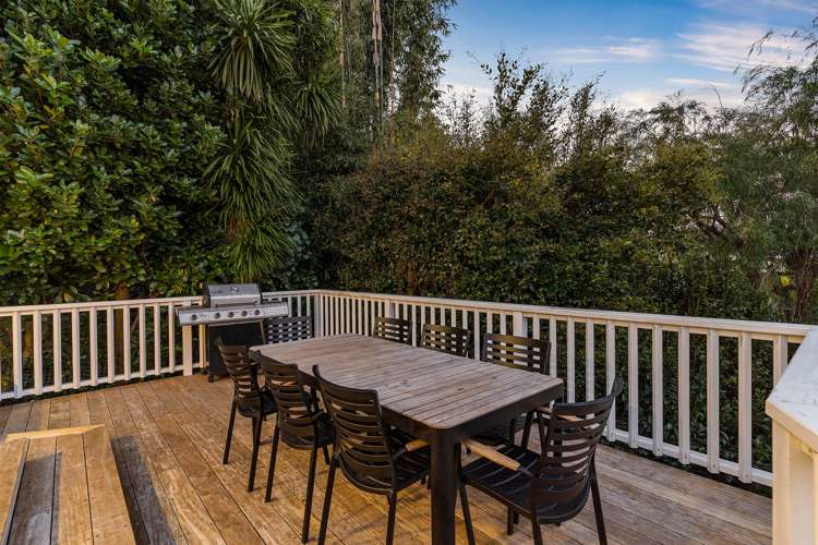 41b Springfield Road Morningside_14