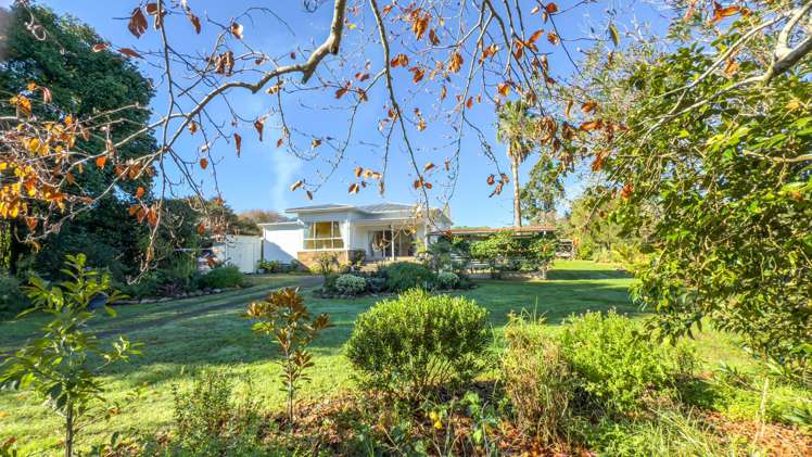 102 Puriri Valley Road_0