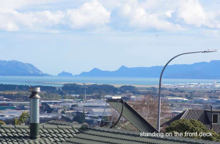 2 Corokia Place Totara Heights_5