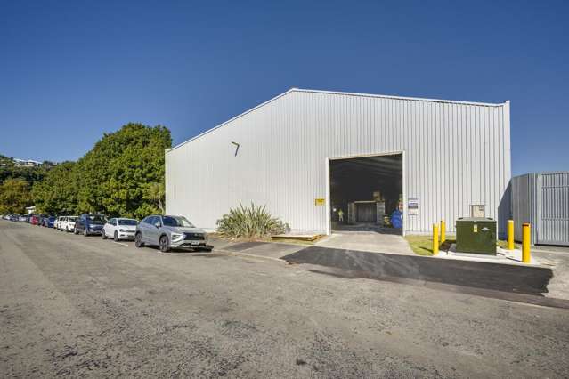 19-21 Ossian Street Ahuriri_4