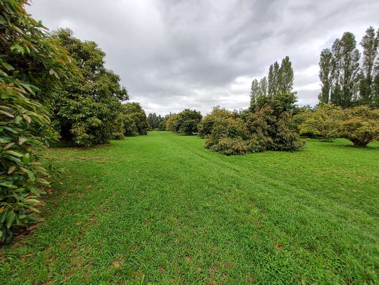 168 No 1 Road Te Puke_18