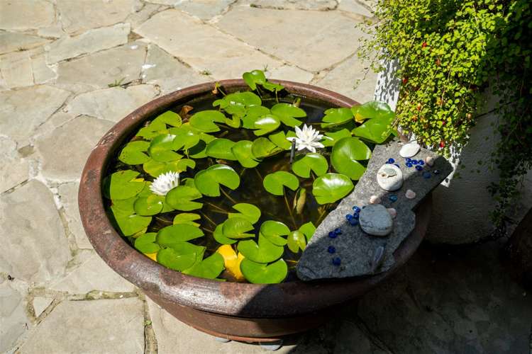 189 Waikino Road Russell Surrounds_16