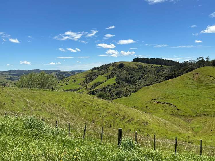 Lot 3 DP539905 Dill Road Kaipara Flats_17