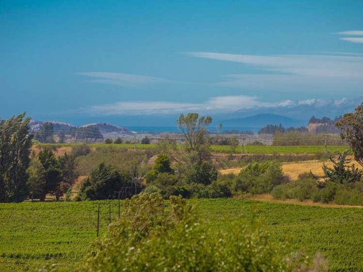 4 Beaumont Street Seddon_6