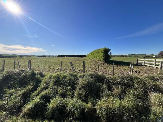 0n Skeet Road Te Roti_2