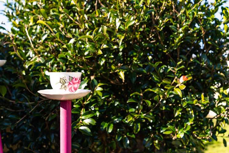 22 Kowi Lakes Drive One Tree Point_22