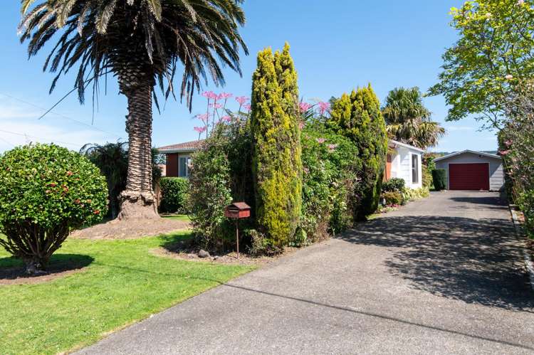 12 Roosevelt Road Western Heights_18