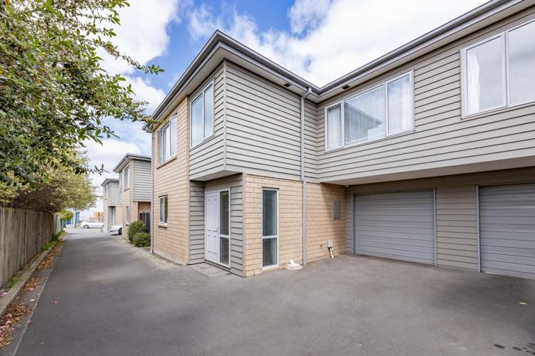 41c Austin Street Sydenham_12