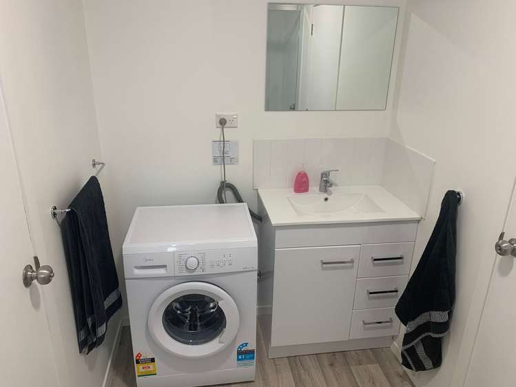 46 Gladstone Road North East Valley_15