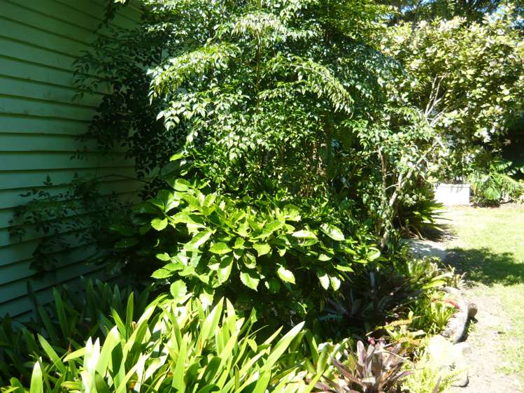 46 Sandy Beach Road Tinopai_7