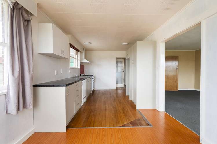 31 Hammond Street Bulls_3