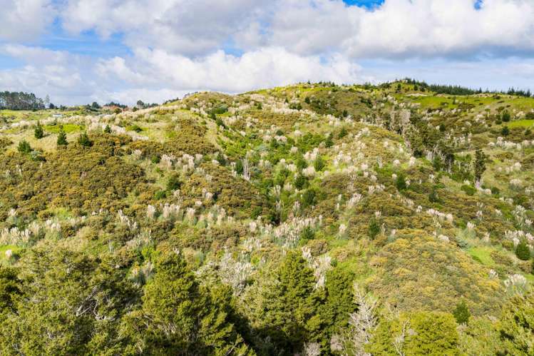 Lot 8/670 Bickerstaffe Road Maungaturoto_5
