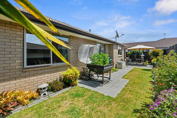 74 Twin Oak Avenue Papamoa_6