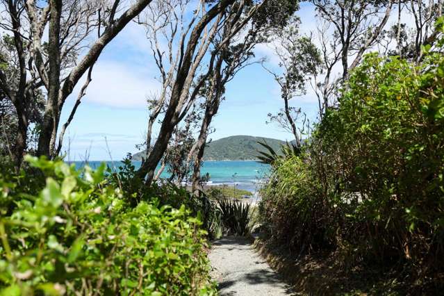 403 Shoal Bay Road Great Barrier Island_4