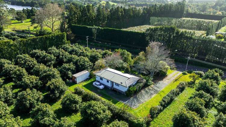 117 Rea Road RD 2 Katikati_36