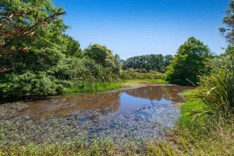 Lot 2 DP480579 South Head Road South Head_26