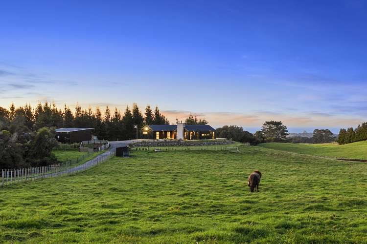 1640 Mangorei Road Mangorei_25