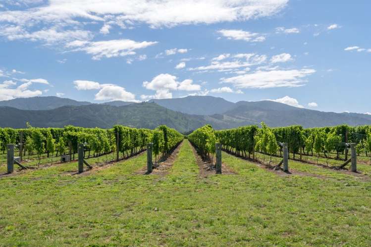 101 Flaxmill Drive Rarangi_19