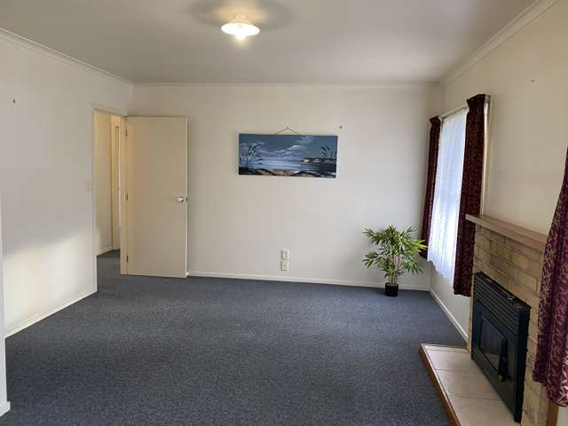 117 Fourteenth Avenue Tauranga South_2