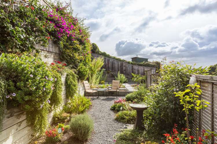 8 Fitzroy Road Bluff Hill_10