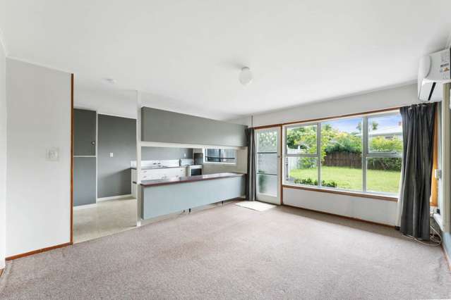 3/43b Milton Road Mt Eden_3