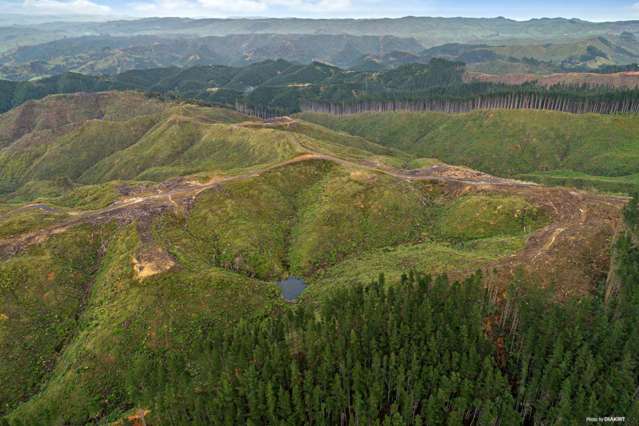 1211 Klondyke Road Port Waikato_3