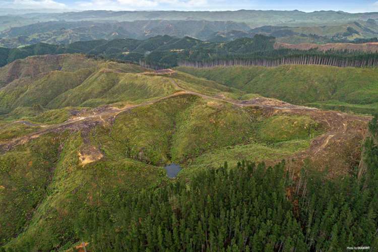 1211 Klondyke Road Port Waikato_3