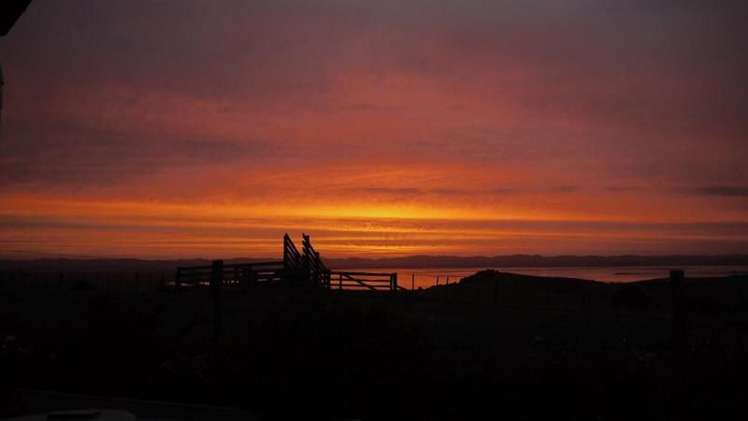 204 Oyster Point Road Kaukapakapa_19