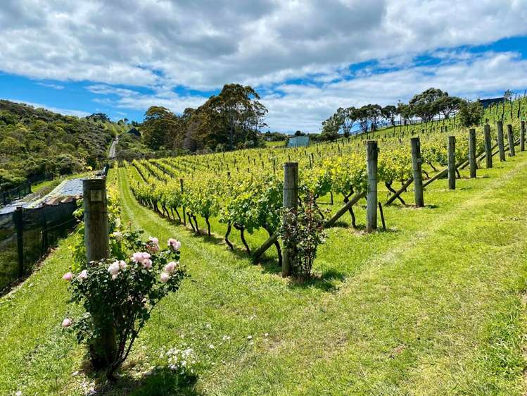 68 Korora Road Oneroa_18