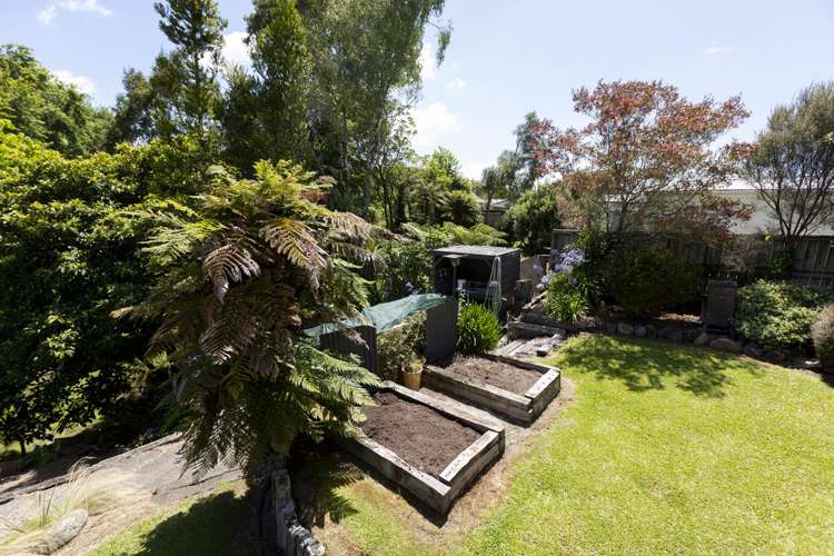 18 Frances Street Tirau_3