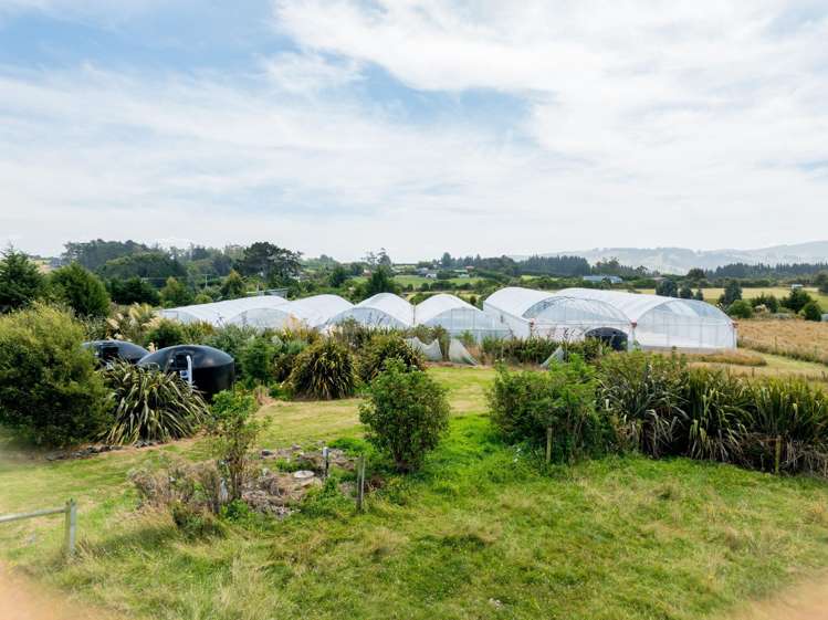 25 Tunnel Beach Road Blackhead_40