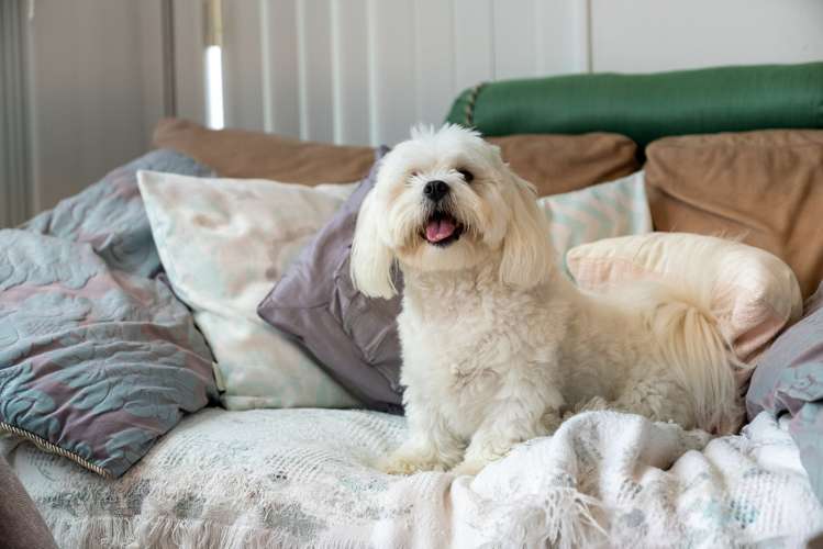 9/31 Reynolds Place Papamoa_12