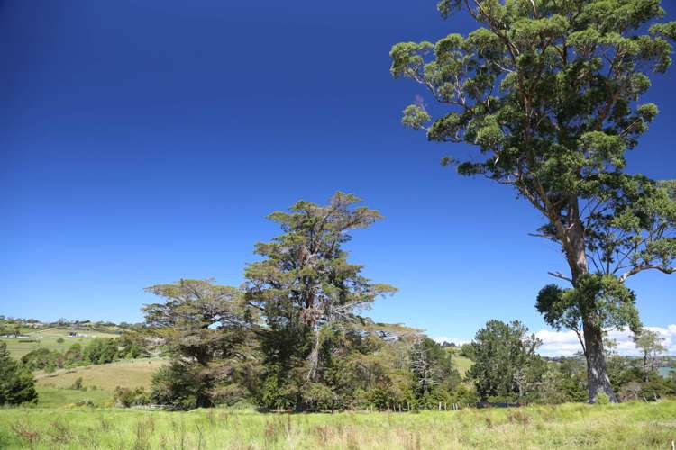 39 Kia Kaha Drive Snells Beach_8