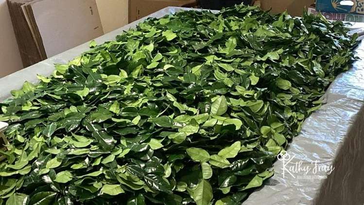 70 Rototuna Rd Pouto_42