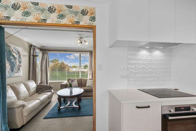 25 Felgrove Street Glendene_4