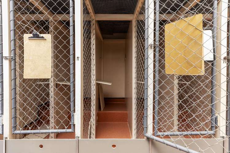 2C Kaitoke Loop Road Kaitoke_22