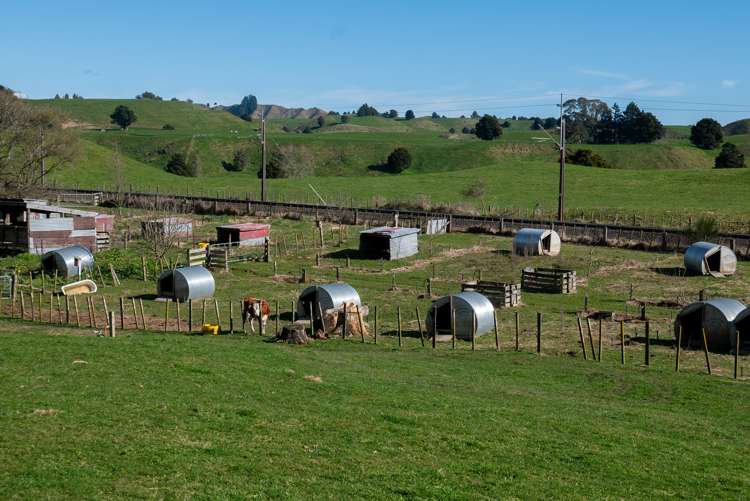 655 Whakapapa Road Kakahi_19