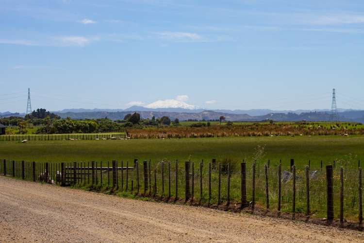 261a Roberts Avenue Aramoho_18