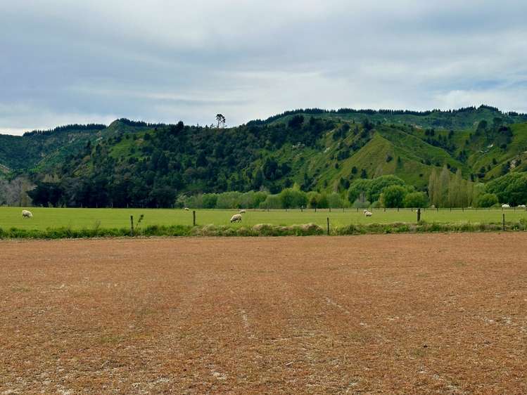 2057 Matawai Road Te Karaka_7