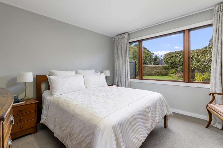 26 Kiwi Street Bird Area_15