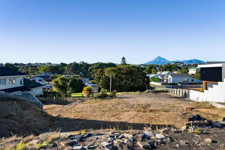 38 Birdwood Avenue Moturoa_27