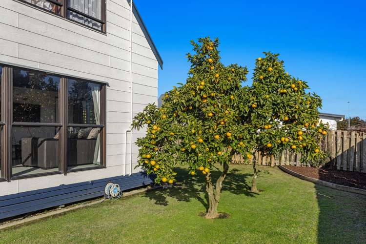 23 Totara Street Edgecumbe_20