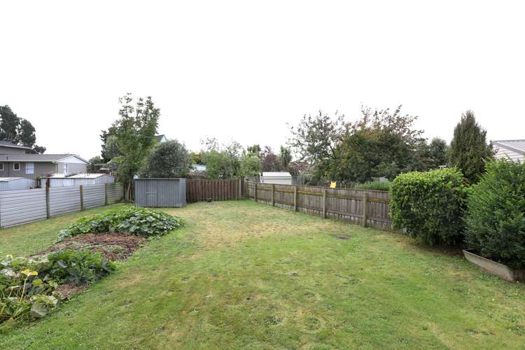 4 Johnson Street Bulls_12