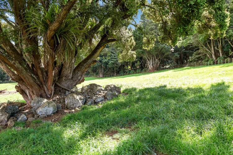 1027 State Highway 14 Maungatapere_9